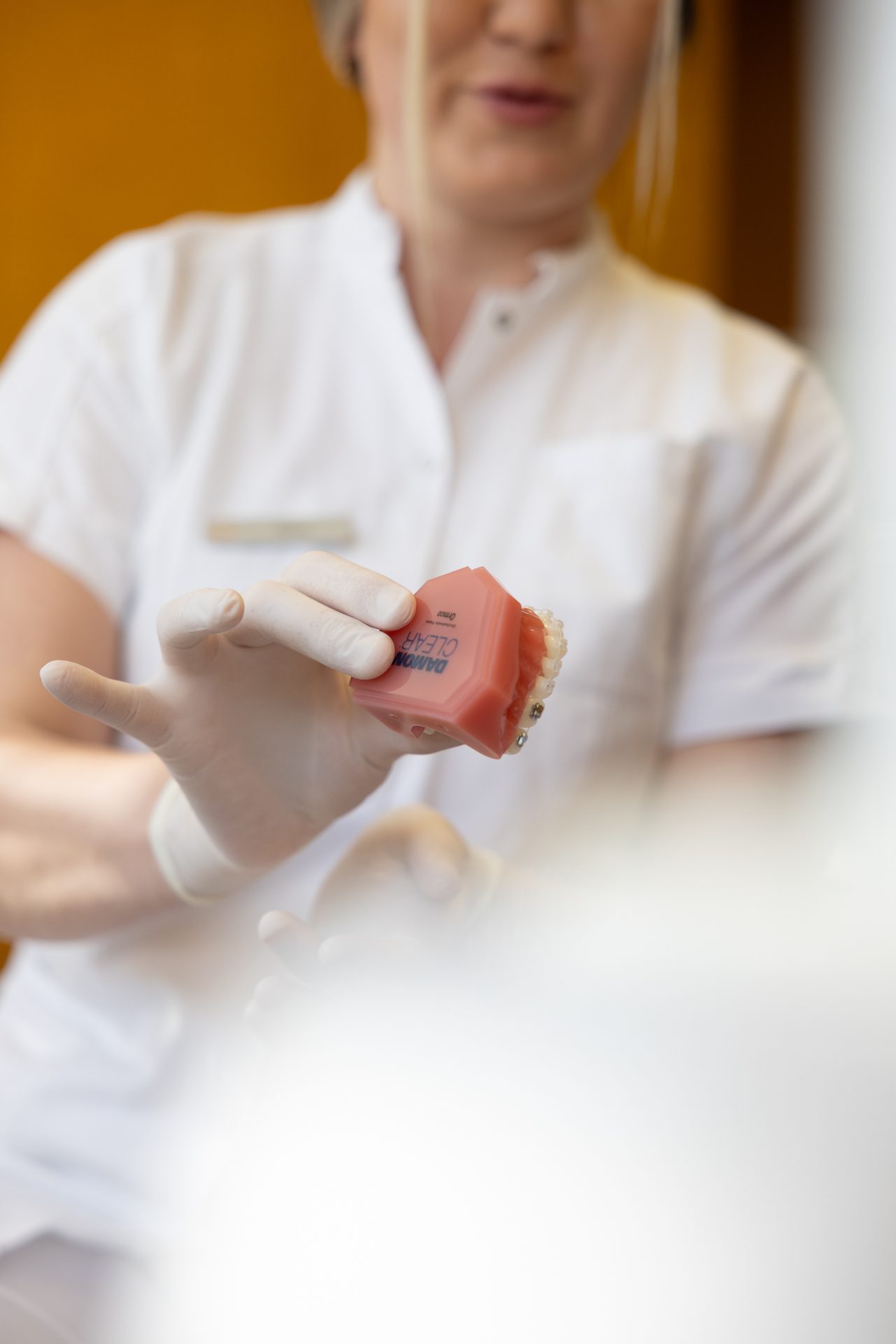 Assistentin zeigt ein Zahnmodell mit weißen Keramikbrackets